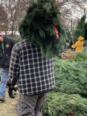 Treeland Christmas Trees