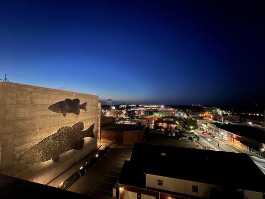 From the roof of the Ledger Building. Right at sunset, overlooking DT Bentonville.