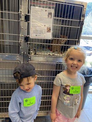 Their excitement when they found the kitten they loved - wish I had a picture of the tears after.