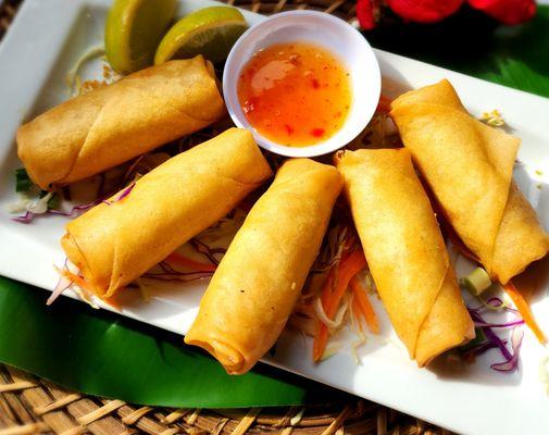 Crispy Veggie Spring Rolls