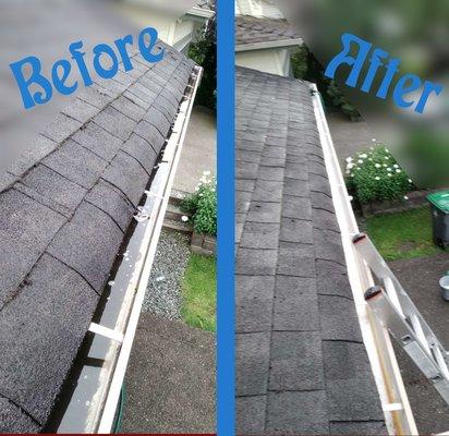 Clogged gutters tend to become FILTHY. Let us save the day by scooping them out and spiffing them up!