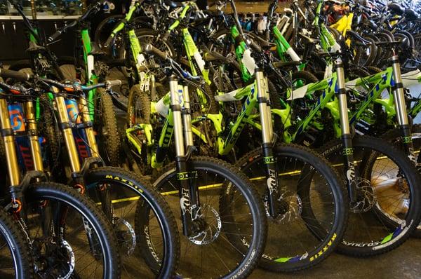 Great Mountain Bike Selection!