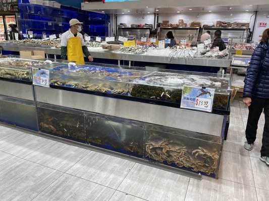 Seafood area