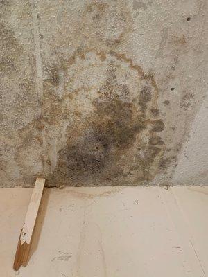 Mold