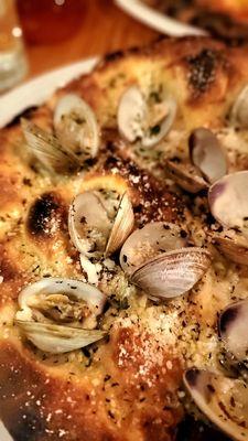 NC Clam White Pizza