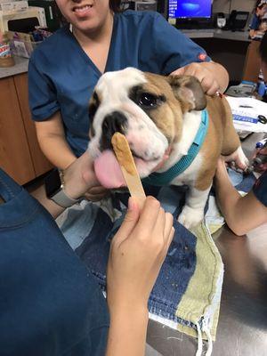 He doesn't like having his nails trimmed, but he likes peanut enough to "tolerate" his pedi.