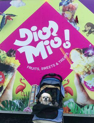 Mocha Coconut loves Dios Mio bc they have pup cups!