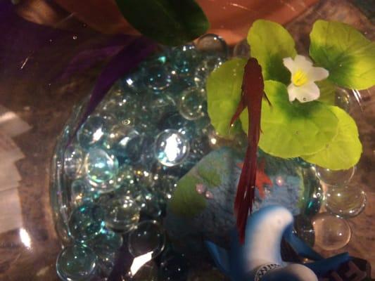 Who knew a fish could add so much joy to a home! He is happy and healthy. Check out this store for bettas, and follow advice.