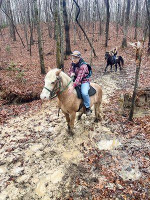 Mud puddle and horses