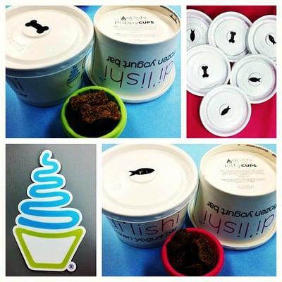 frozen yogurt cups for cats and dogs