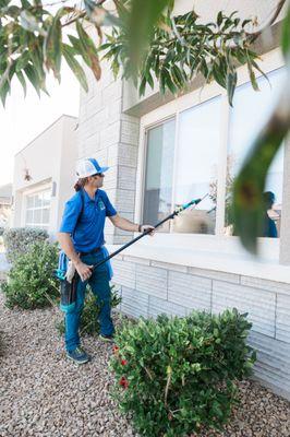 Window Cleaning