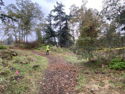 Seeding meadows