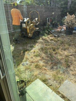 Working with the stump grinder