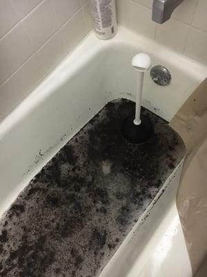 Sewage water contaminated with fecal backs up from the bath tub overflows on to carpet.