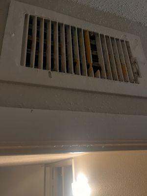 Rat bit through vent.