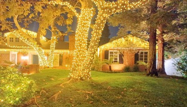 Trees and house installation Lighting in topics Lake