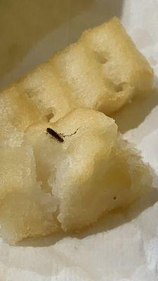 A bug on my fry