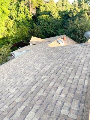 Shingle Roof