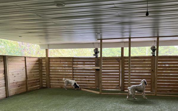 My pups in one of the daycare yards!