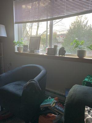 Living room- window with nice area for plants and pictures