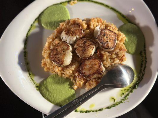 Scallop risotto