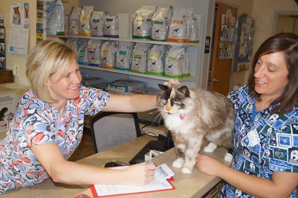 Theresa and Marcy checking in Cinders.