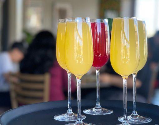 Endless mimosas