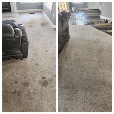 Carpet cleaning job in Raleigh.