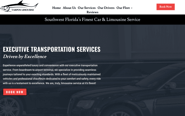 A website we did for one of our clients, Tarpon Limousine in Florida.