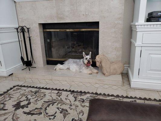 Ashes loves the cool hearth on a hot summer day. Looking regal after her morning at Whitney's Dog Spa being pampered.