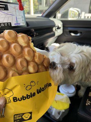 The best egg waffle, thunder agrees, just wish there is a Happy Lemon in New Jersey!