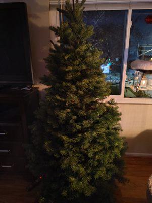 Our Green, Fresh & Fabulous Christmas tree #2024, thank you Tahoe Christmas Trees