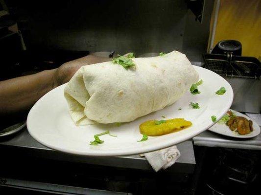 Burrito on a plate`