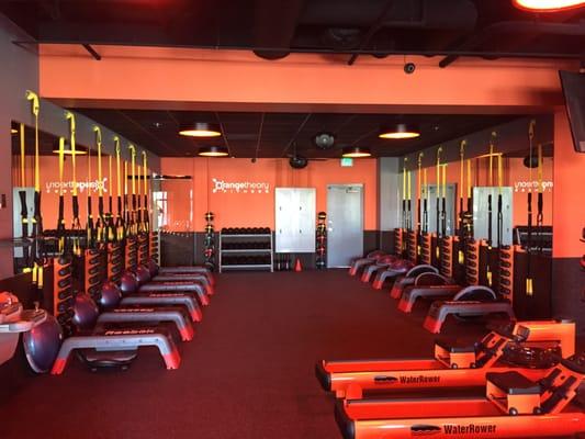 TRX & Dumbell Stations