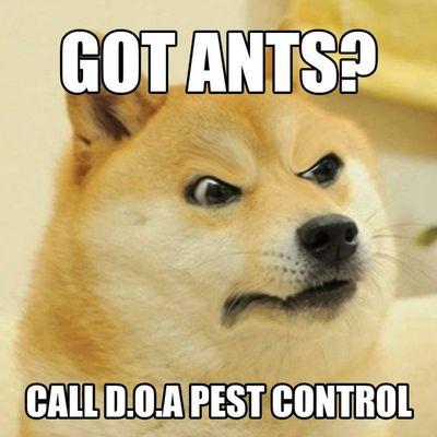 D.o.a pest control