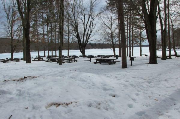 Lots of picnic tables