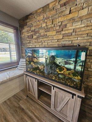 Fish tank with nice seating