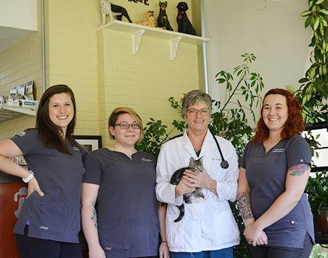 South Pointe Animal Hospital