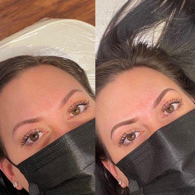 Healed and touched up powder brows