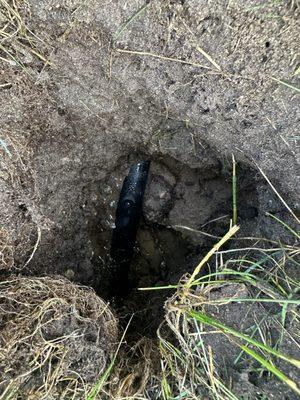 Punctured irrigation system by a septic probe