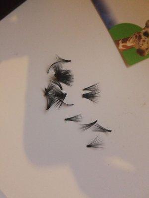 "Mink lashes" easily fell off the next day. Wasted $85.