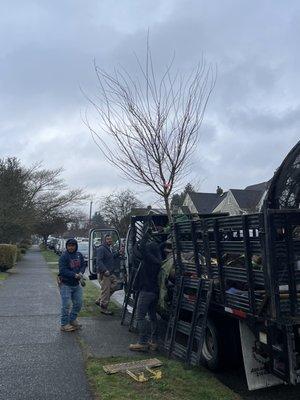 Unloading the tree