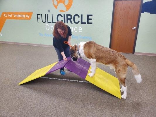 Full Circle Obedience School