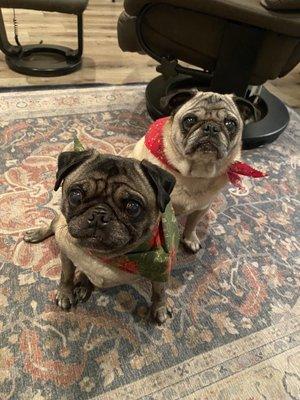 Sadie & Yaya after their Happy bath.