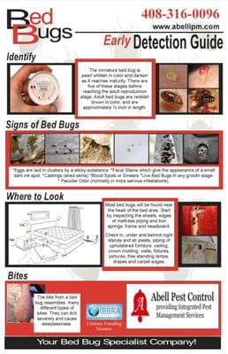 Bed Bug Poster