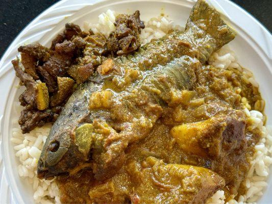 Hassa Fish Curry Lunch Plate - $12 (free lamb tripe sample)