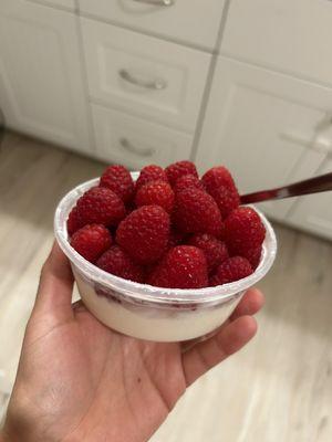 Coconut French Kefir with Raspberries on top