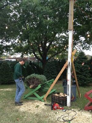 Fresh Christmas trees and wreathes from Montana