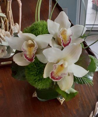 Orchid arrangement