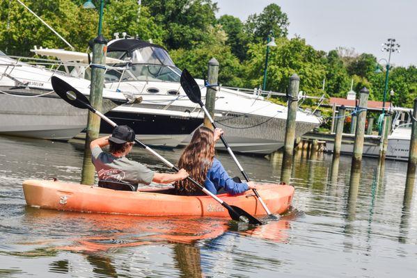 Rentals: kayaks